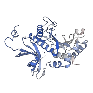 31712_7v4i_H_v1-0
Cryo-EM Structure of Camellia sinensis glutamine synthetase CsGSIb decamer assembly