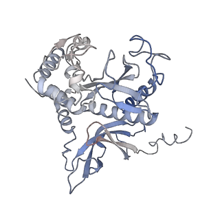 31712_7v4i_I_v1-0
Cryo-EM Structure of Camellia sinensis glutamine synthetase CsGSIb decamer assembly