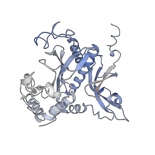 31712_7v4i_J_v1-0
Cryo-EM Structure of Camellia sinensis glutamine synthetase CsGSIb decamer assembly