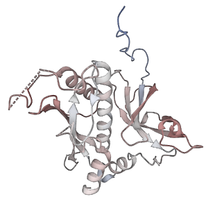 31713_7v4j_E_v1-0
Cryo-EM Structure of Camellia sinensis glutamine synthetase CsGSIb inactive Pentamer State I