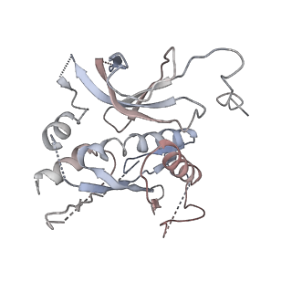 31715_7v4l_A_v1-0
Cryo-EM Structure of Camellia sinensis glutamine synthetase CsGSIb inactive Pentamer State III