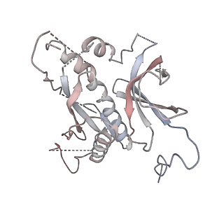 31715_7v4l_B_v1-0
Cryo-EM Structure of Camellia sinensis glutamine synthetase CsGSIb inactive Pentamer State III