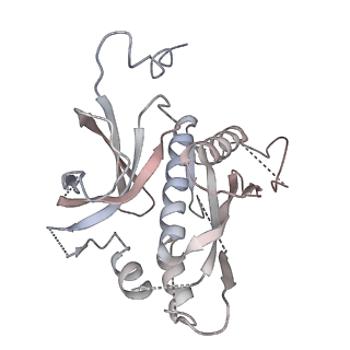 31715_7v4l_C_v1-0
Cryo-EM Structure of Camellia sinensis glutamine synthetase CsGSIb inactive Pentamer State III