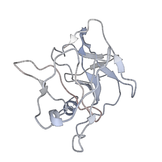 31716_7v4t_C_v1-0
Cryo-EM structure of Alphavirus M1
