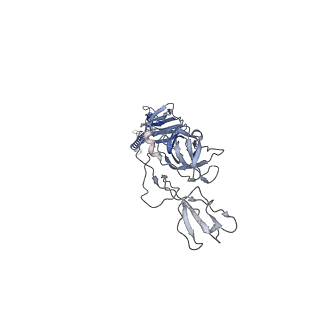 31716_7v4t_F_v1-0
Cryo-EM structure of Alphavirus M1