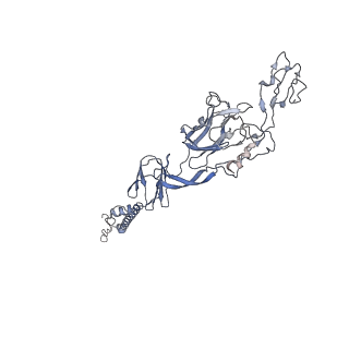 31716_7v4t_J_v1-0
Cryo-EM structure of Alphavirus M1