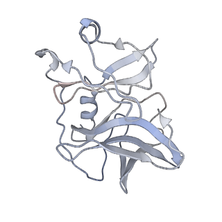 31716_7v4t_K_v1-0
Cryo-EM structure of Alphavirus M1