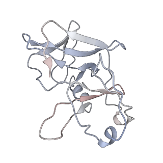 31716_7v4t_O_v1-0
Cryo-EM structure of Alphavirus M1