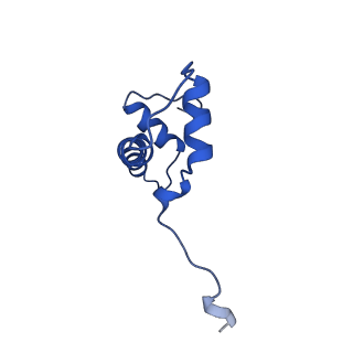 42977_8v4y_B_v1-0
Cryo-EM structure of singly-bound SNF2h-nucleosome complex with SNF2h at inactive SHL2 (conformation 1)