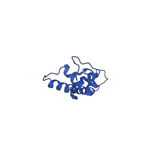 42977_8v4y_C_v1-0
Cryo-EM structure of singly-bound SNF2h-nucleosome complex with SNF2h at inactive SHL2 (conformation 1)