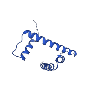 42977_8v4y_D_v1-0
Cryo-EM structure of singly-bound SNF2h-nucleosome complex with SNF2h at inactive SHL2 (conformation 1)