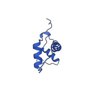 42977_8v4y_F_v1-0
Cryo-EM structure of singly-bound SNF2h-nucleosome complex with SNF2h at inactive SHL2 (conformation 1)