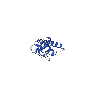 42977_8v4y_G_v1-0
Cryo-EM structure of singly-bound SNF2h-nucleosome complex with SNF2h at inactive SHL2 (conformation 1)