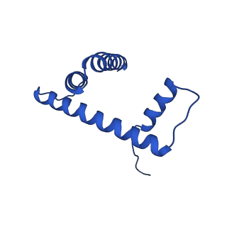 42977_8v4y_H_v1-0
Cryo-EM structure of singly-bound SNF2h-nucleosome complex with SNF2h at inactive SHL2 (conformation 1)