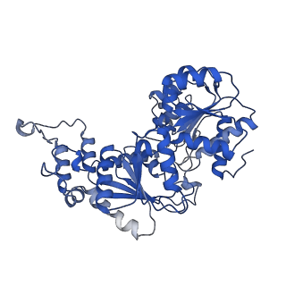 42977_8v4y_W_v1-0
Cryo-EM structure of singly-bound SNF2h-nucleosome complex with SNF2h at inactive SHL2 (conformation 1)