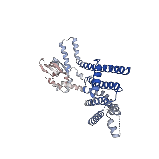 8632_5v4s_A_v1-5
CryoEM Structure of a Prokaryotic Cyclic Nucleotide-Gated Ion Channel