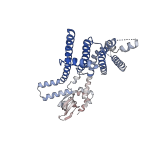 8632_5v4s_B_v1-5
CryoEM Structure of a Prokaryotic Cyclic Nucleotide-Gated Ion Channel