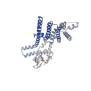 8632_5v4s_B_v1-6
CryoEM Structure of a Prokaryotic Cyclic Nucleotide-Gated Ion Channel