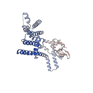 8632_5v4s_C_v1-6
CryoEM Structure of a Prokaryotic Cyclic Nucleotide-Gated Ion Channel