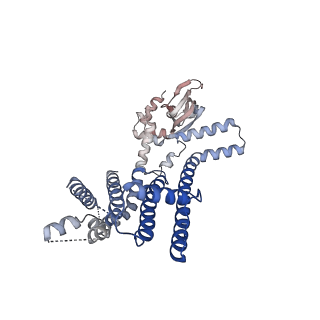 8632_5v4s_D_v1-5
CryoEM Structure of a Prokaryotic Cyclic Nucleotide-Gated Ion Channel