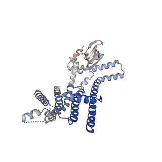 8632_5v4s_D_v1-6
CryoEM Structure of a Prokaryotic Cyclic Nucleotide-Gated Ion Channel