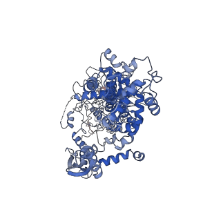 21051_6v5b_A_v1-2
Human Drosha and DGCR8 in complex with Primary MicroRNA (MP/RNA complex) - Active state