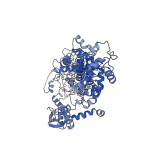 21051_6v5b_A_v1-3
Human Drosha and DGCR8 in complex with Primary MicroRNA (MP/RNA complex) - Active state