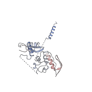 21051_6v5b_B_v1-2
Human Drosha and DGCR8 in complex with Primary MicroRNA (MP/RNA complex) - Active state