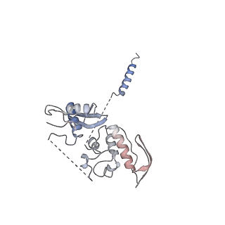 21051_6v5b_B_v1-3
Human Drosha and DGCR8 in complex with Primary MicroRNA (MP/RNA complex) - Active state