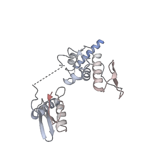 21051_6v5b_C_v1-2
Human Drosha and DGCR8 in complex with Primary MicroRNA (MP/RNA complex) - Active state