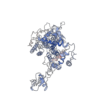 21052_6v5c_A_v1-3
Human Drosha and DGCR8 in complex with Primary MicroRNA (MP/RNA complex) - partially docked state