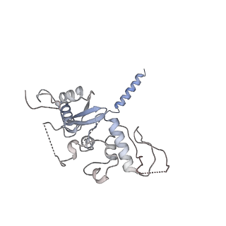 21052_6v5c_B_v1-3
Human Drosha and DGCR8 in complex with Primary MicroRNA (MP/RNA complex) - partially docked state