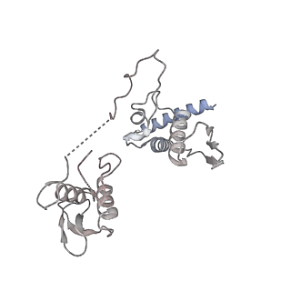 21052_6v5c_C_v1-2
Human Drosha and DGCR8 in complex with Primary MicroRNA (MP/RNA complex) - partially docked state