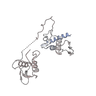 21052_6v5c_C_v1-3
Human Drosha and DGCR8 in complex with Primary MicroRNA (MP/RNA complex) - partially docked state