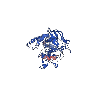 31722_7v5c_B_v1-0
Cryo-EM structure of the mouse ABCB9 (ADP.BeF3-bound)