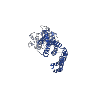31723_7v5d_A_v1-0
Cryo-EM structure of the mouse ABCB9 (PG-bound)