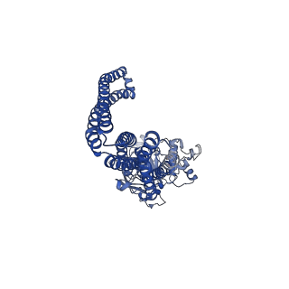 31723_7v5d_B_v1-0
Cryo-EM structure of the mouse ABCB9 (PG-bound)