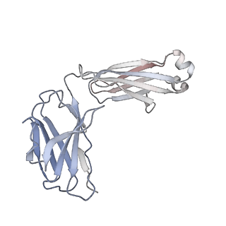 31725_7v5j_F_v1-0
MERS S ectodomain trimer in complex with neutralizing antibody 0722(state 2)