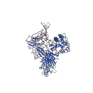 31726_7v5k_A_v1-0
MERS S ectodomain trimer in complex with neutralizing antibody 0722 (state 1)