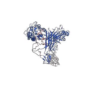 31726_7v5k_C_v1-0
MERS S ectodomain trimer in complex with neutralizing antibody 0722 (state 1)