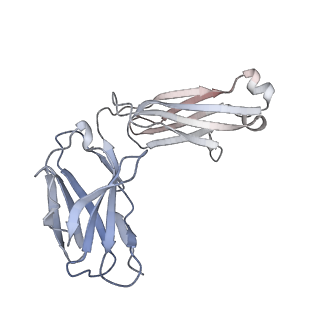 31726_7v5k_H_v1-0
MERS S ectodomain trimer in complex with neutralizing antibody 0722 (state 1)