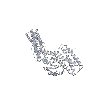 21073_6v6s_A_v1-1
Structure of the native human gamma-tubulin ring complex