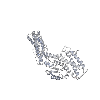 21073_6v6s_A_v1-2
Structure of the native human gamma-tubulin ring complex