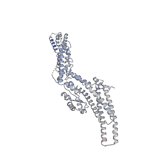 21073_6v6s_B_v1-1
Structure of the native human gamma-tubulin ring complex