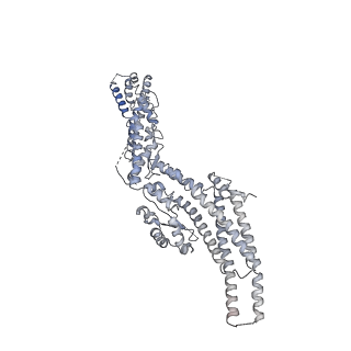 21073_6v6s_B_v1-2
Structure of the native human gamma-tubulin ring complex