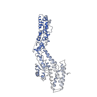 21073_6v6s_C_v1-1
Structure of the native human gamma-tubulin ring complex