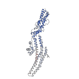 21073_6v6s_D_v1-1
Structure of the native human gamma-tubulin ring complex