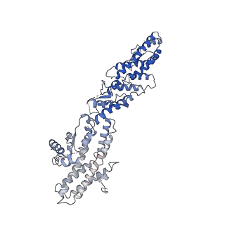 21073_6v6s_E_v1-1
Structure of the native human gamma-tubulin ring complex