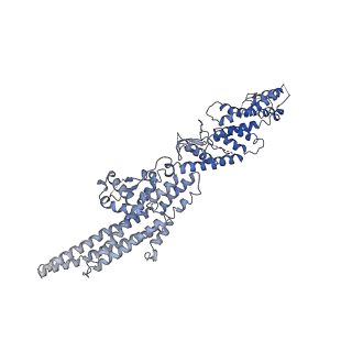 21073_6v6s_F_v1-1
Structure of the native human gamma-tubulin ring complex