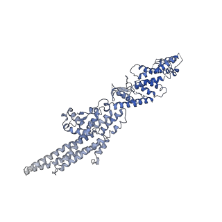 21073_6v6s_F_v1-2
Structure of the native human gamma-tubulin ring complex